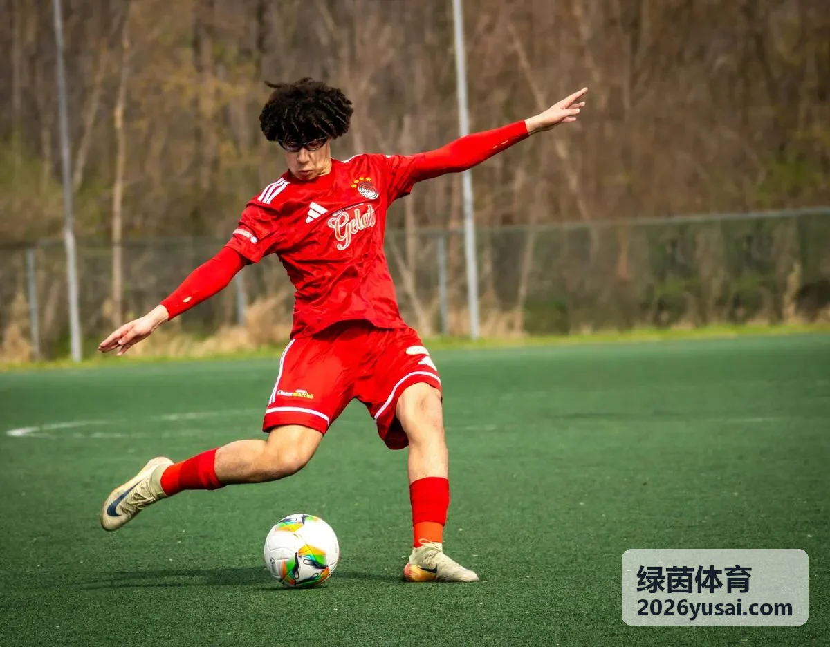 绿茵体育对手情报挖掘服务
